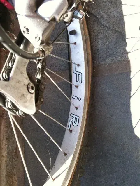 rim.webp