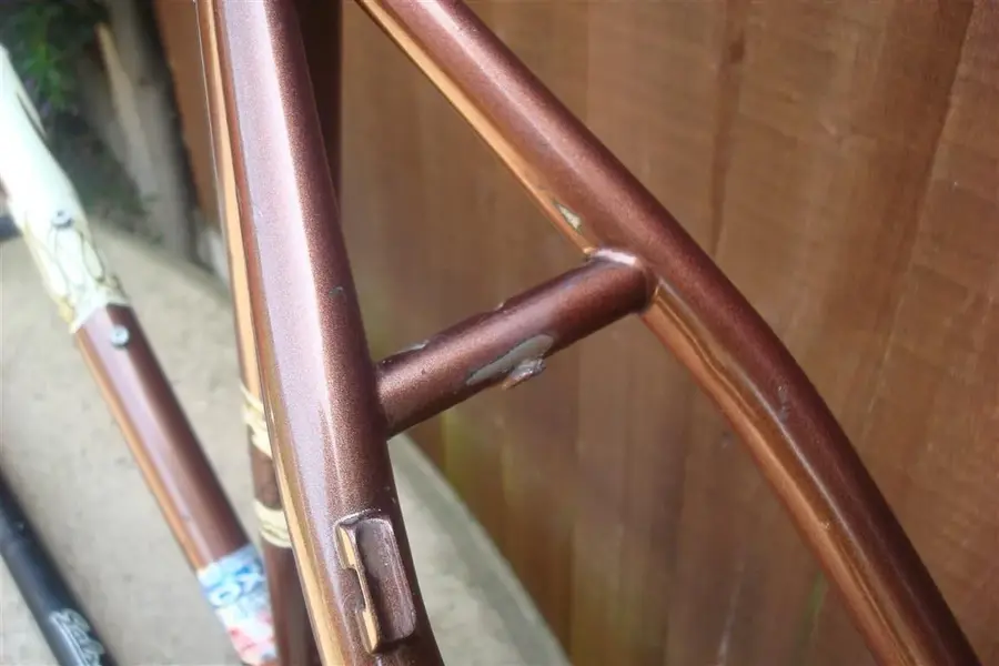 DSC03651 (Medium).webp