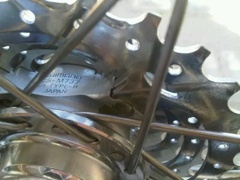 IMG01490-20110506-0855.webp