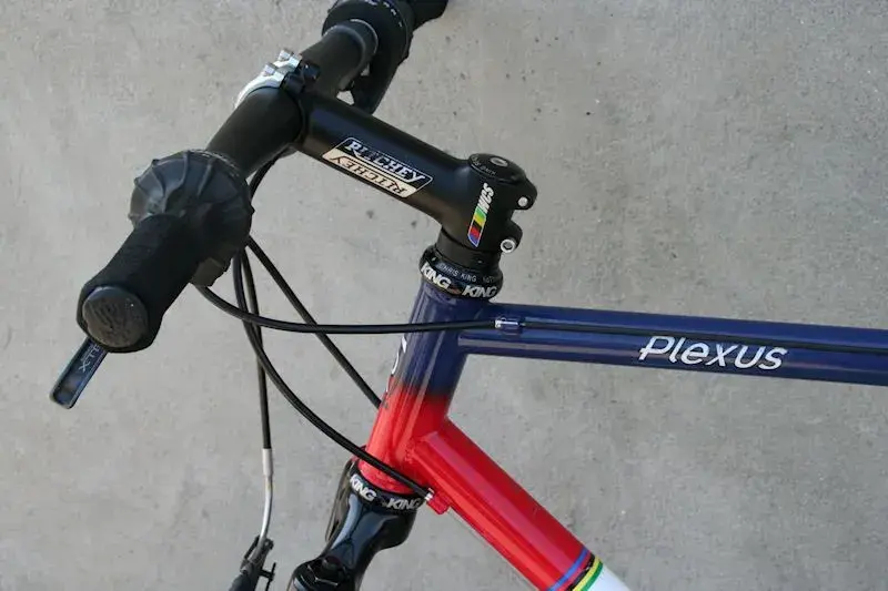 plexus (3).webp