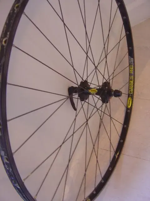 wheel.webp