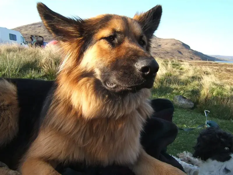 Skye meet 30april-1 may 2011 037 (Large).webp