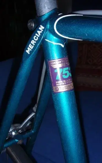 Seat stays.webp