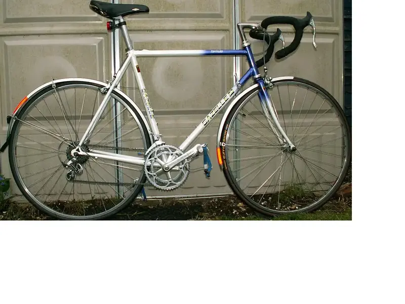 gazelle.webp