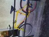 New Picture.webp