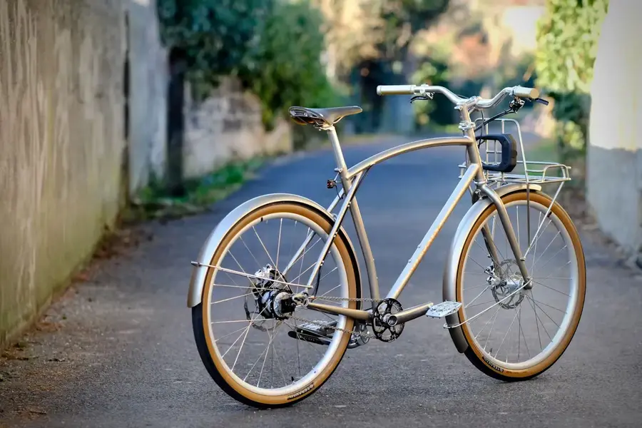 N513%0AAlain's city bike2.webp