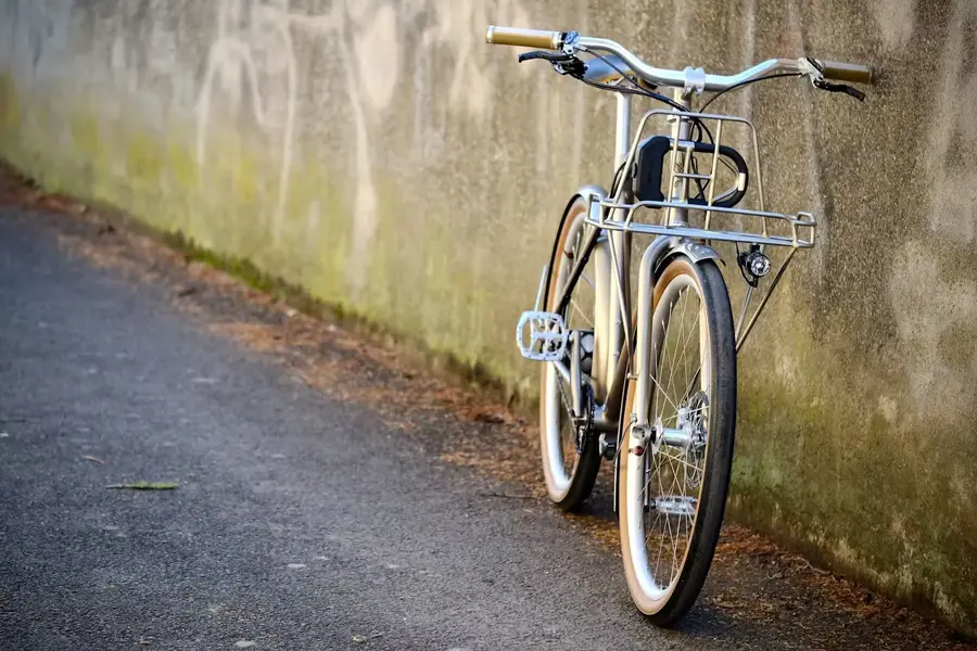 N513%0AAlain's city bike5.webp