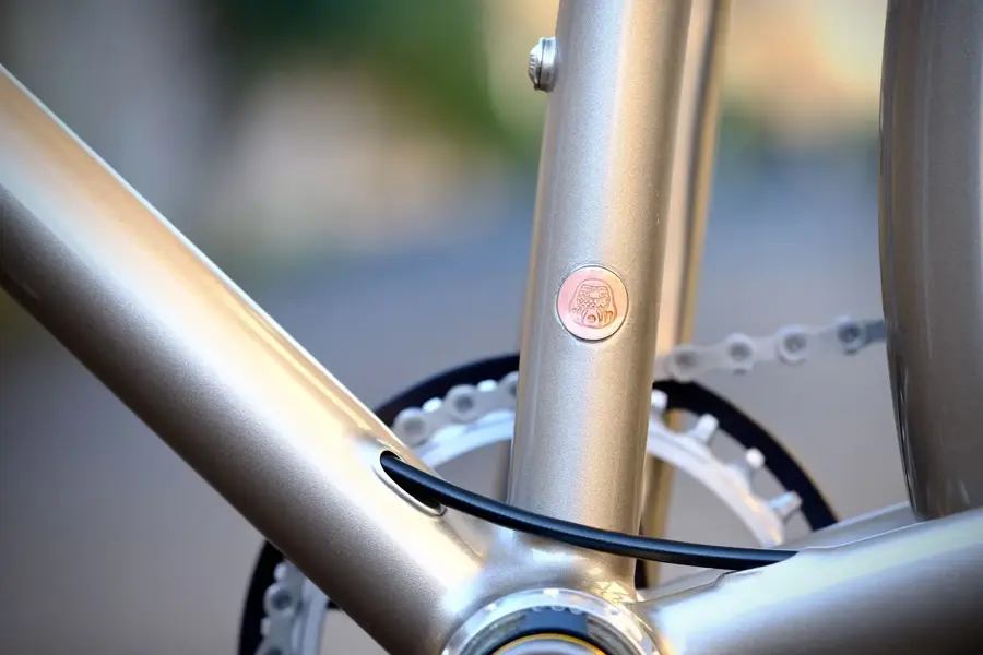 N513%0AAlain's city bike9.webp
