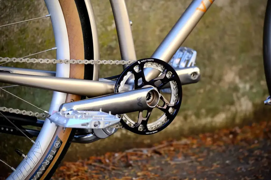 N513%0AAlain's city bike12.webp