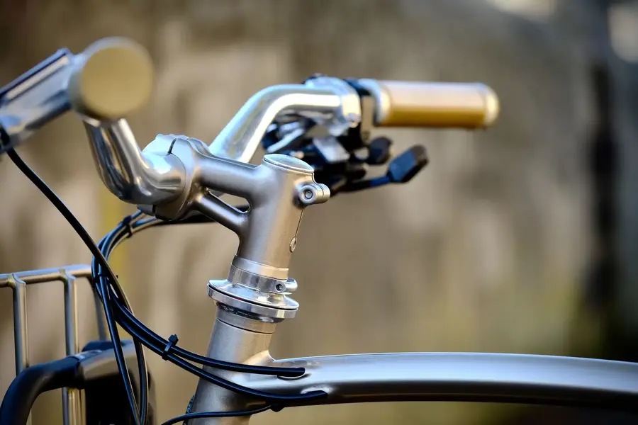 N513%0AAlain's city bike14.webp