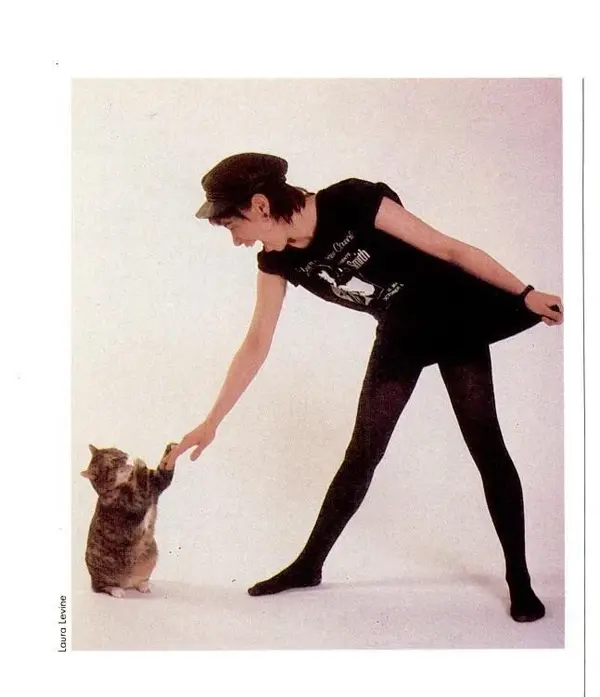 kitty engaged in boxing match .webp