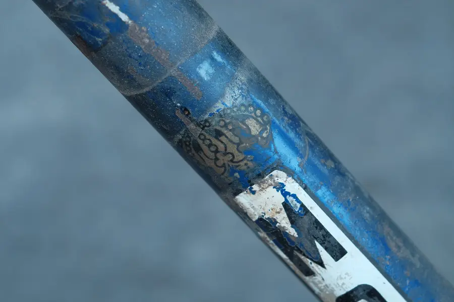 DSCF9126.webp