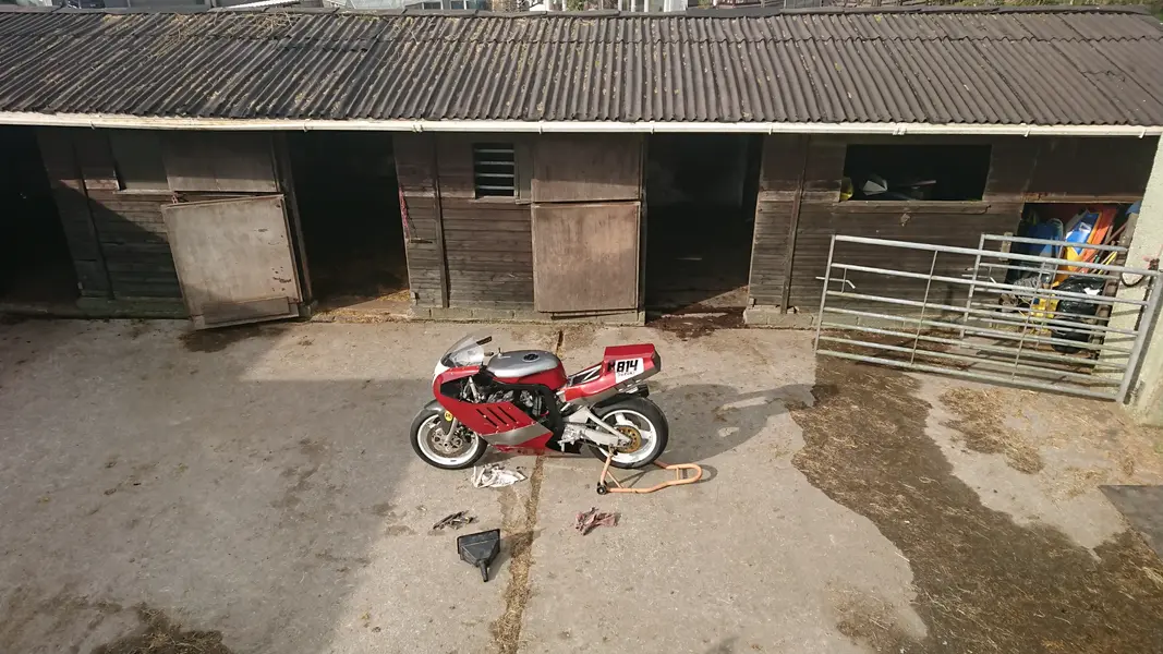 DSC_0078.webp