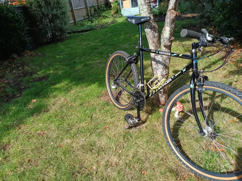 saracen 1.webp