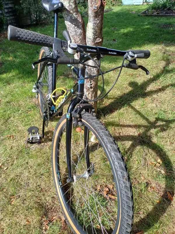 saracen 2.webp