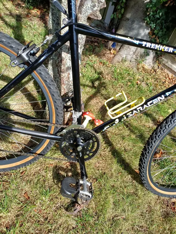 saracen 3.webp
