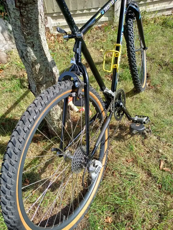 saracen 4.webp