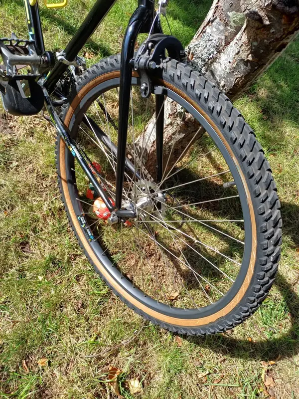 saracen 6.webp