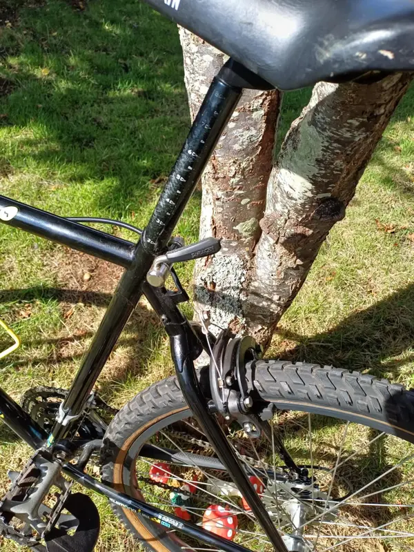saracen 7.webp