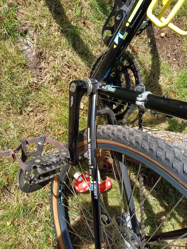 saracen 8.webp