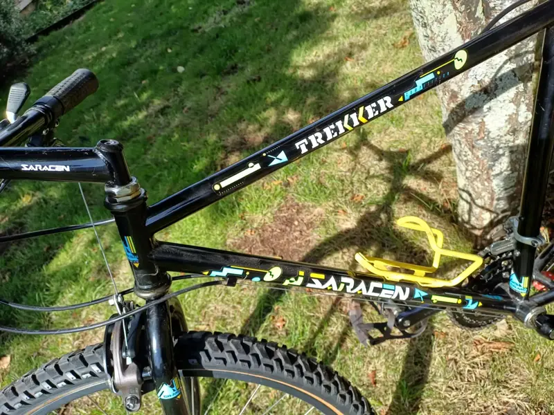 saracen 9.webp