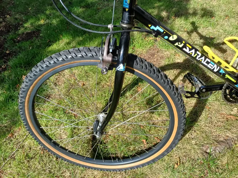saracen 10.webp