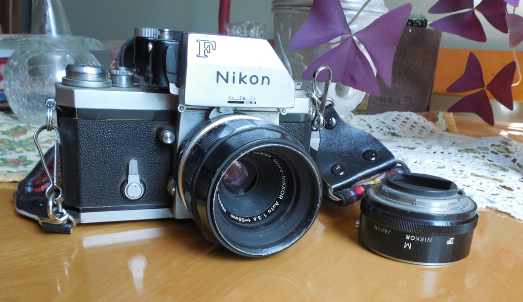 nikon f 2022.webp