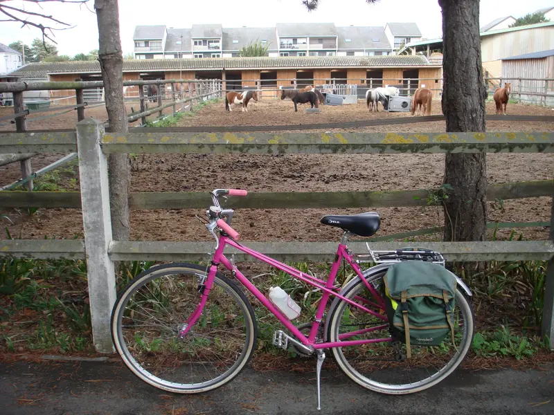 DSC01694.webp