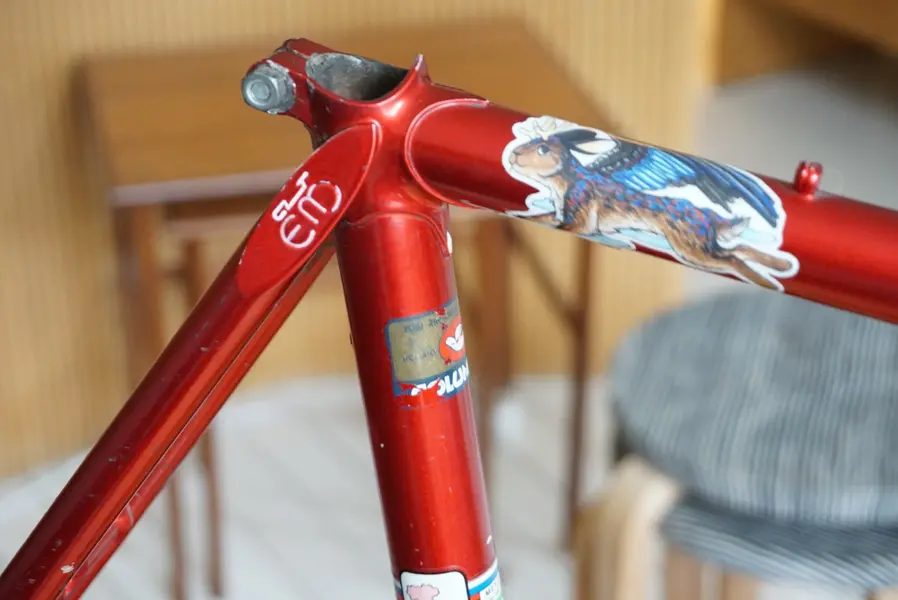 DSC01863.webp