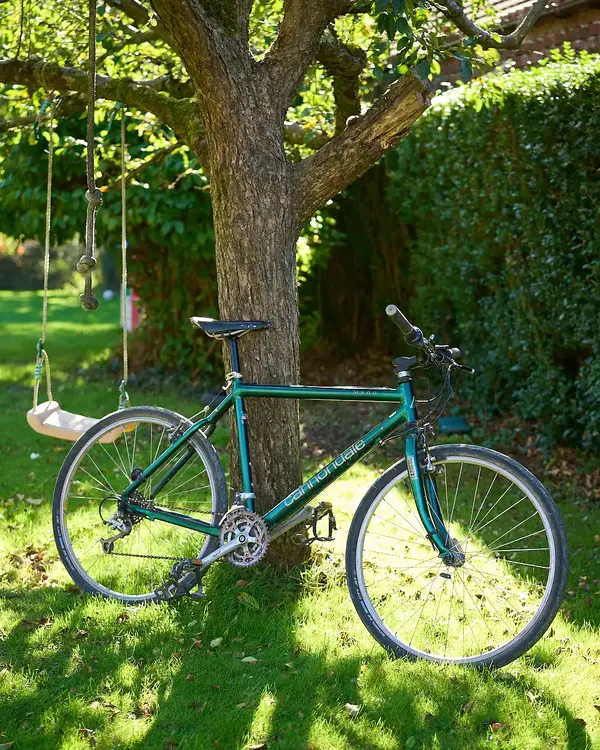 251006_95CannondaleM500_0009.webp