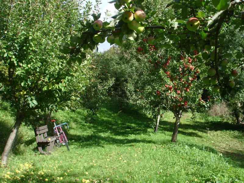 DSC01699.webp