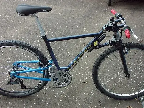 Saracen.webp