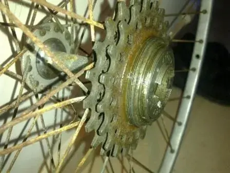 Bob freewheel.webp