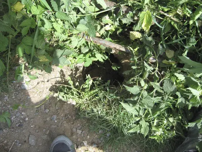 Hole of Doom.webp