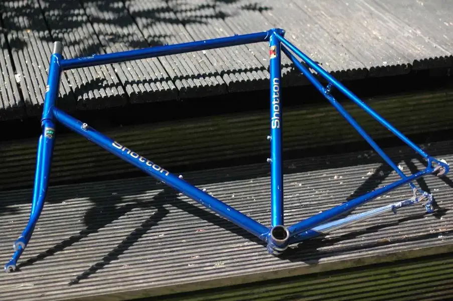 Dan Shotton small 4.webp