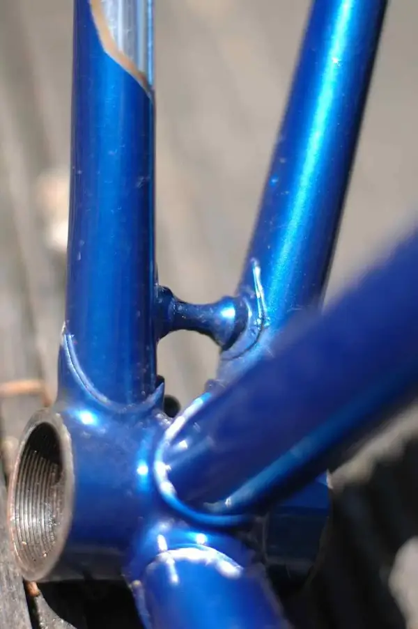 Dan Shotton small 3.webp