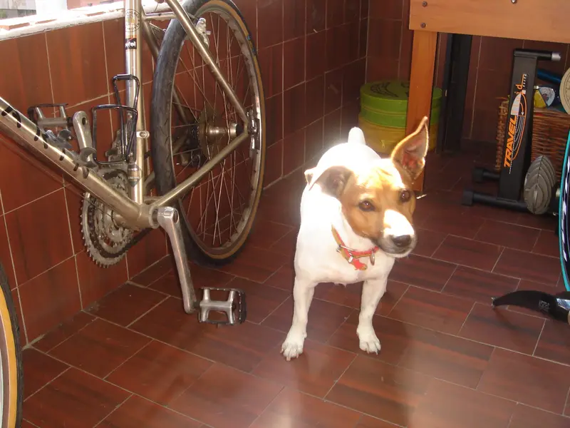 DSC04308.webp