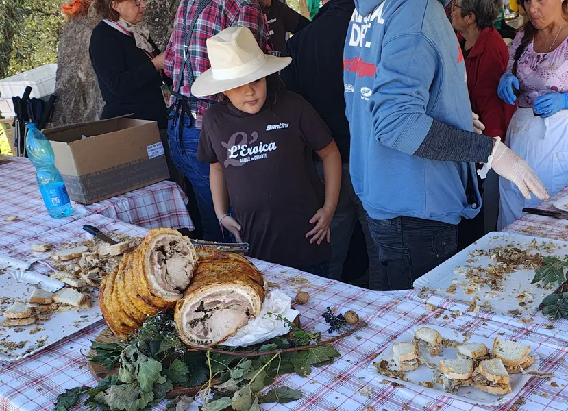 IMG_20251005_140206267_HDR.webp
