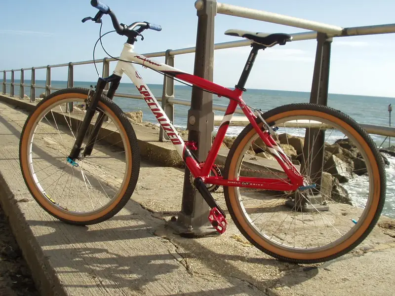 PA050008.webp