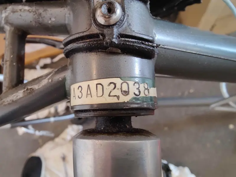 Serial B.webp