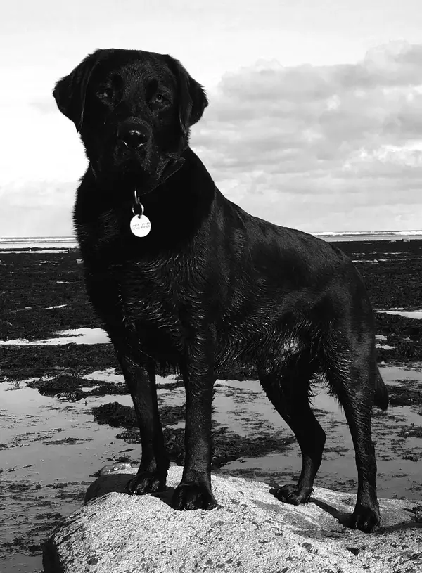 Image 03-02-2021 at 14.40.webp