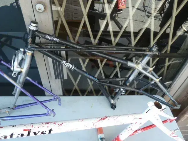 harald show valkyrie 1.webp