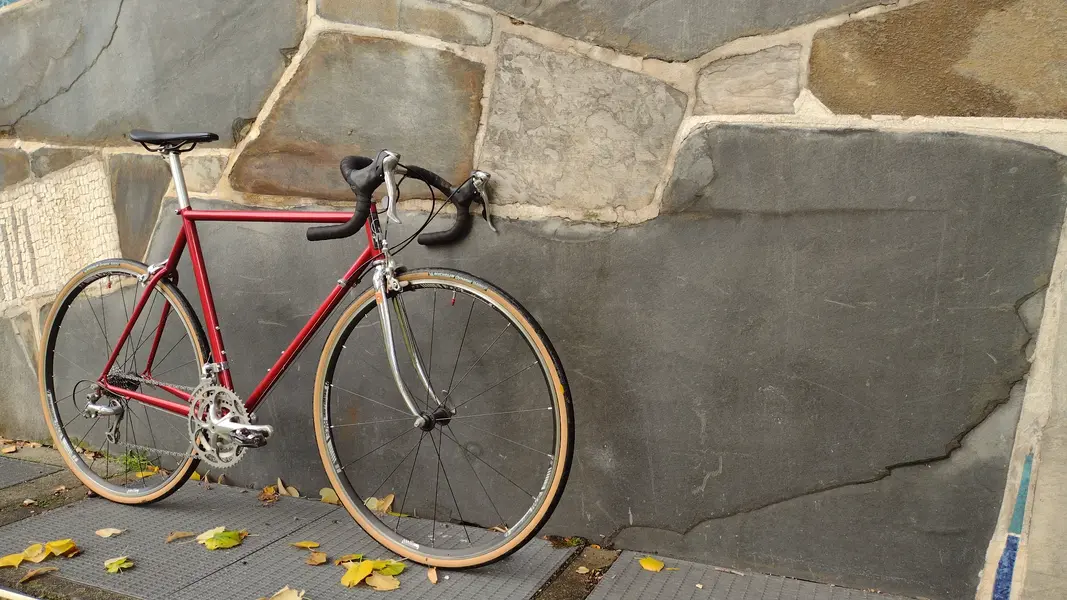 IMG_20251027_151739.webp IMG_20251027_151739.webp