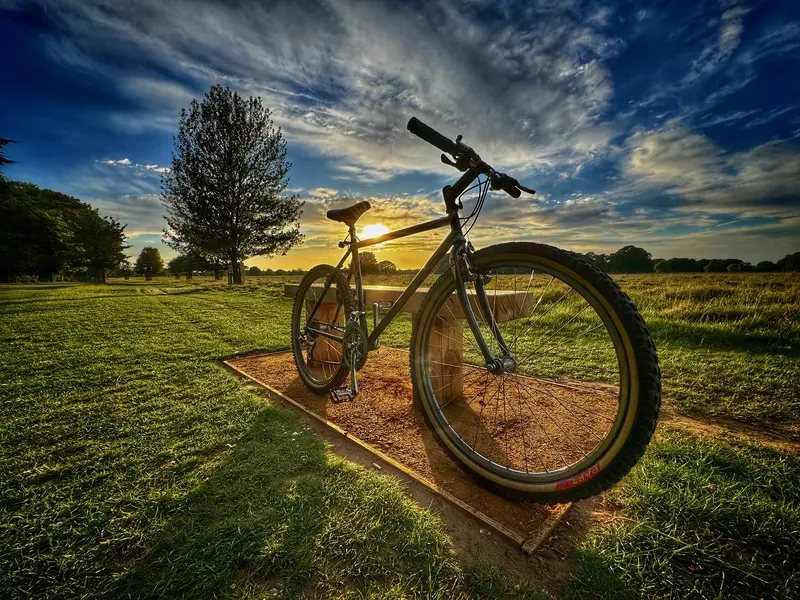 Snapseed 3.webp Snapseed 3.webp