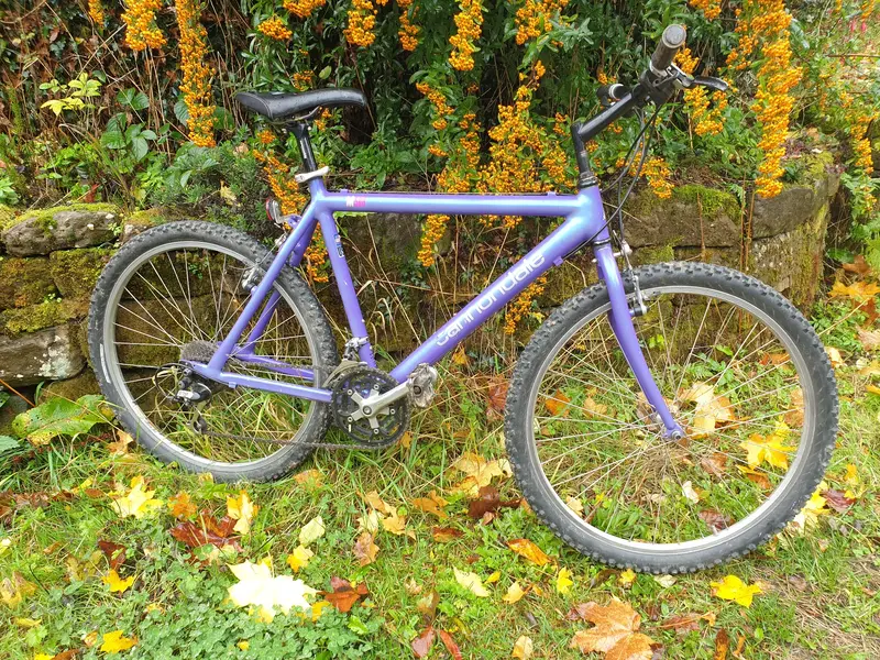 20251029_111048.webp 20251029_111048.webp