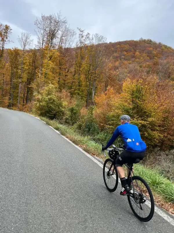 1761826086515.webp 1761826086515.webp