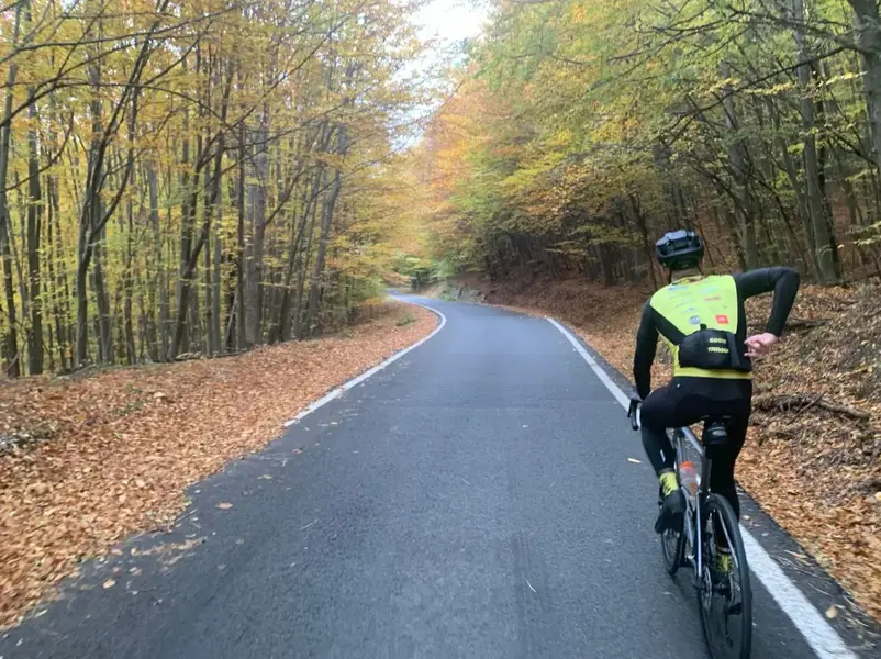 1761826106971.webp 1761826106971.webp