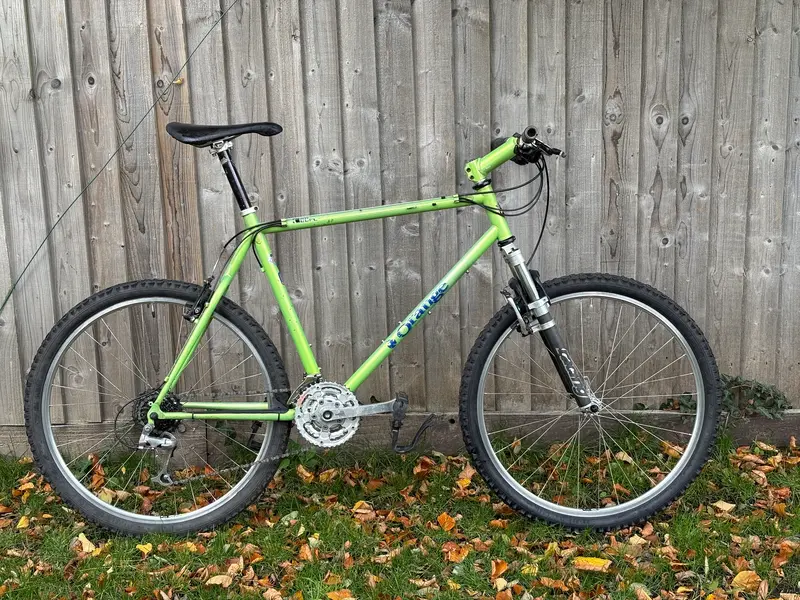 IMG_4339.webp IMG_4339.webp