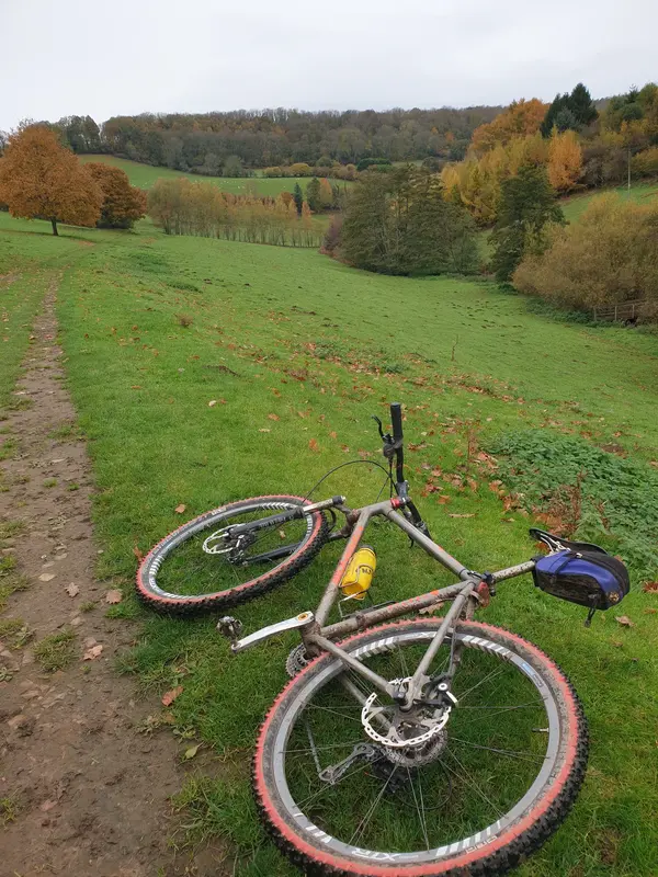 20251030_112655.webp 20251030_112655.webp