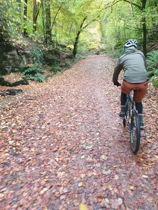 20251030_094954.webp 20251030_094954.webp